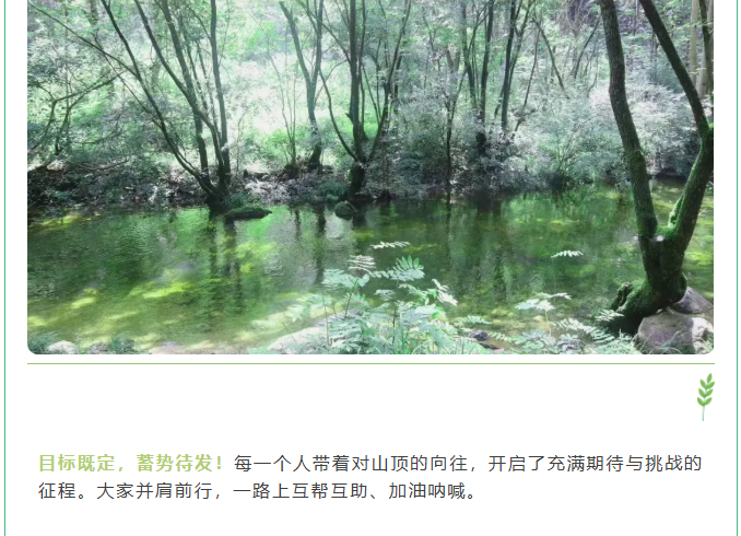 屏幕截图 2025-07-31 094829.png